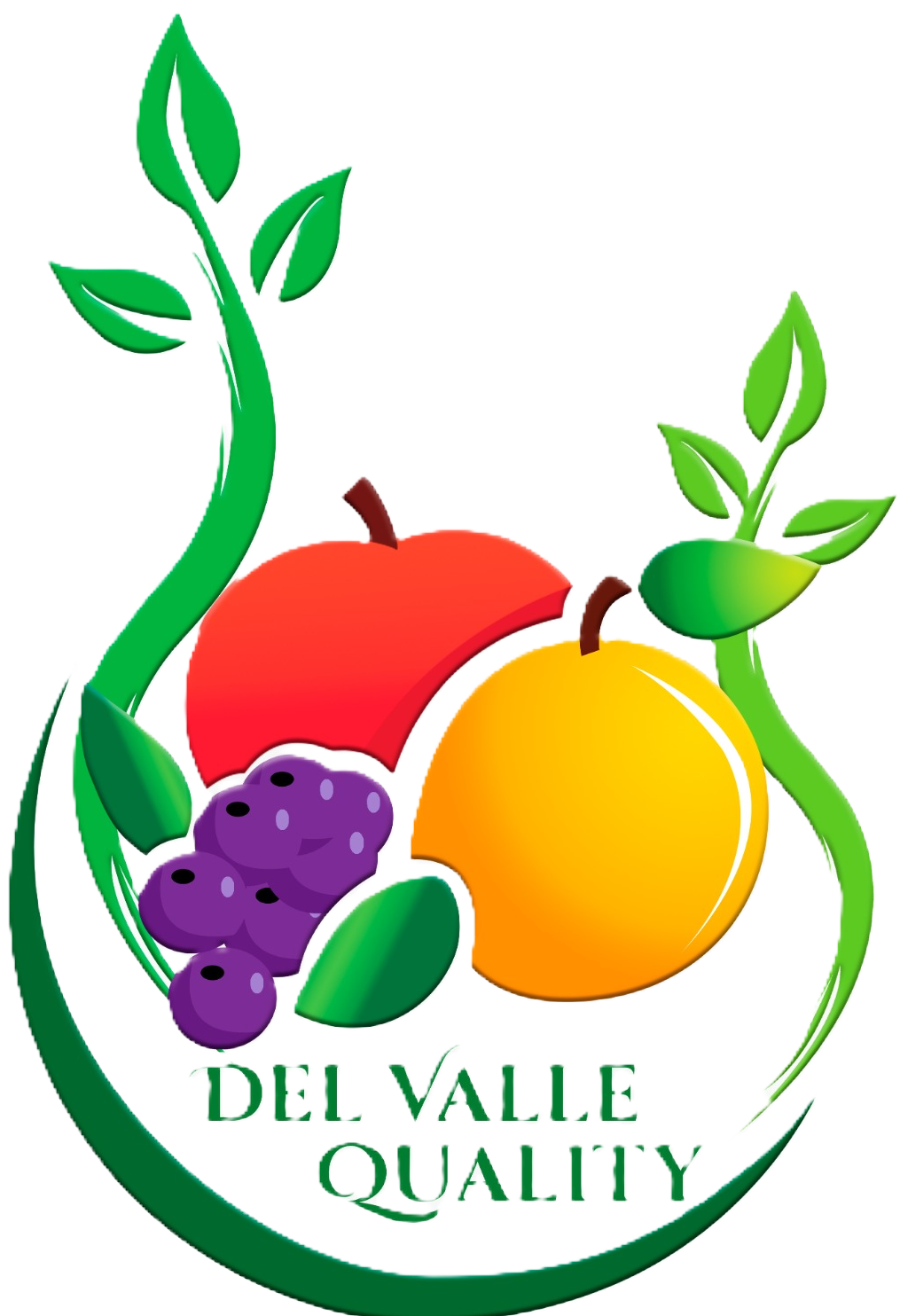 Logo Del Valle Quality